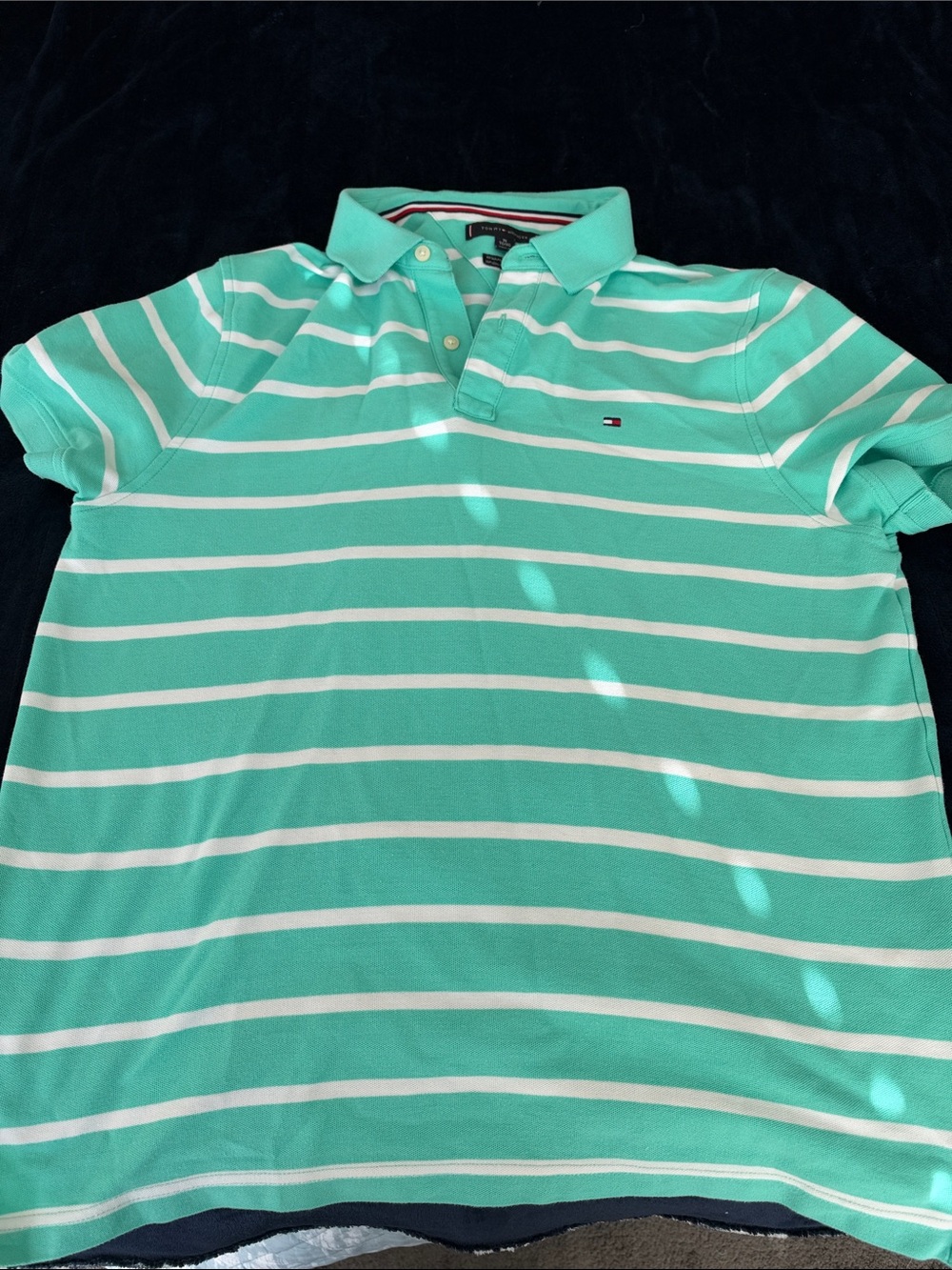 Tommy Hilfiger Mint Green & White Striped Polo